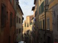 /album/galleria-foto-siena/per-le-vie-siena-1-jpg/